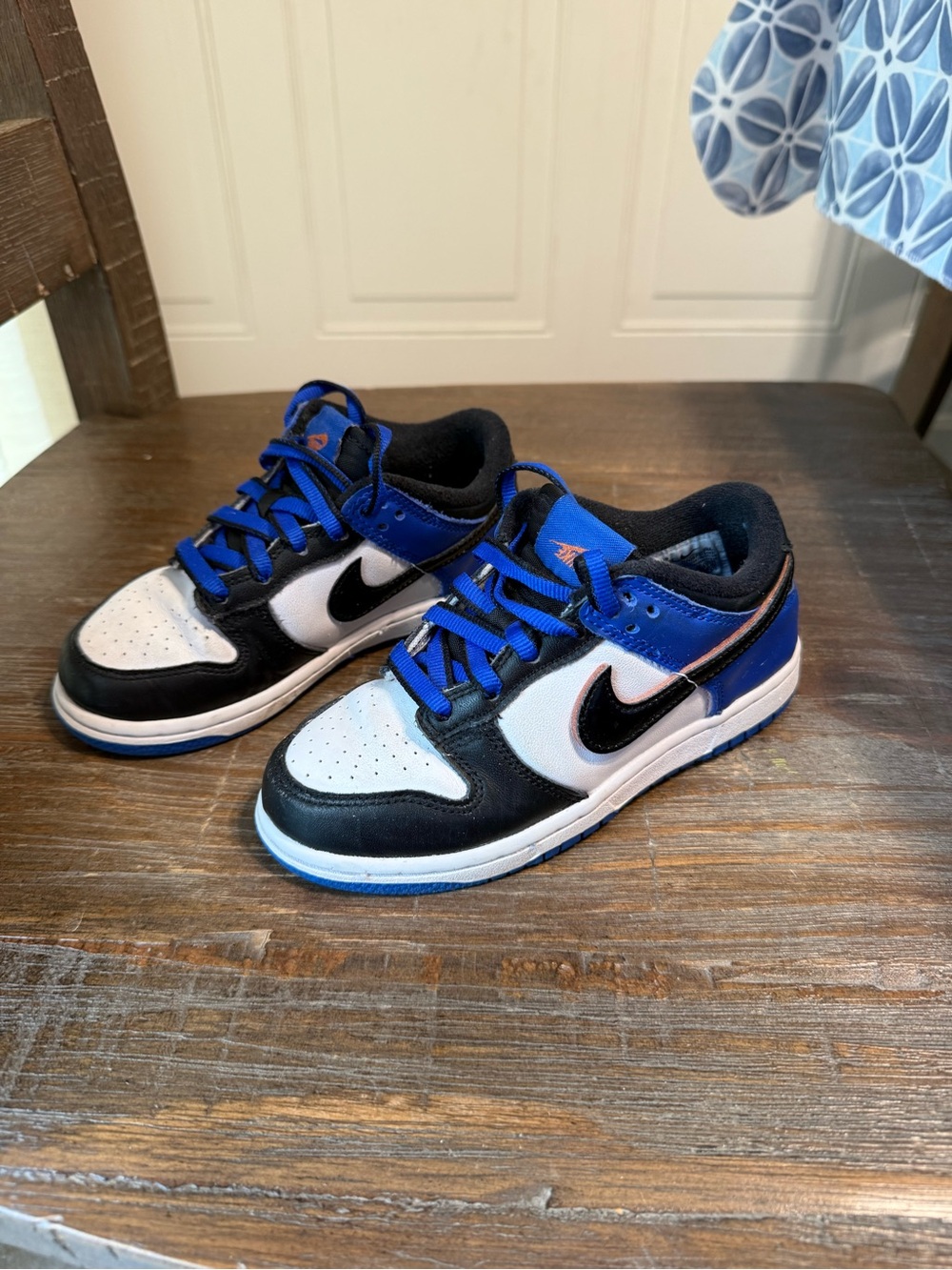 Nike Dunk low SE